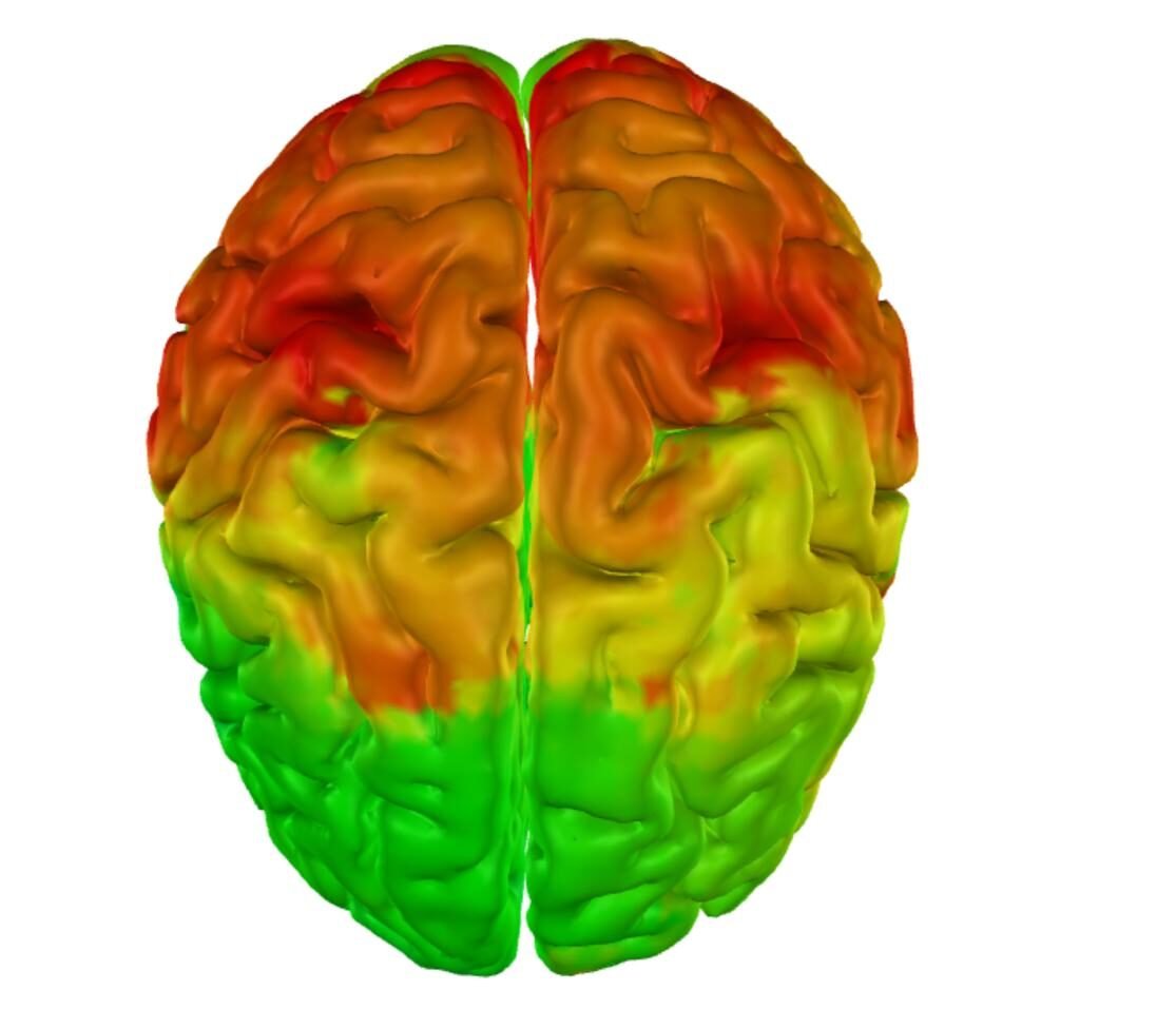 Reprezentare creier grafic